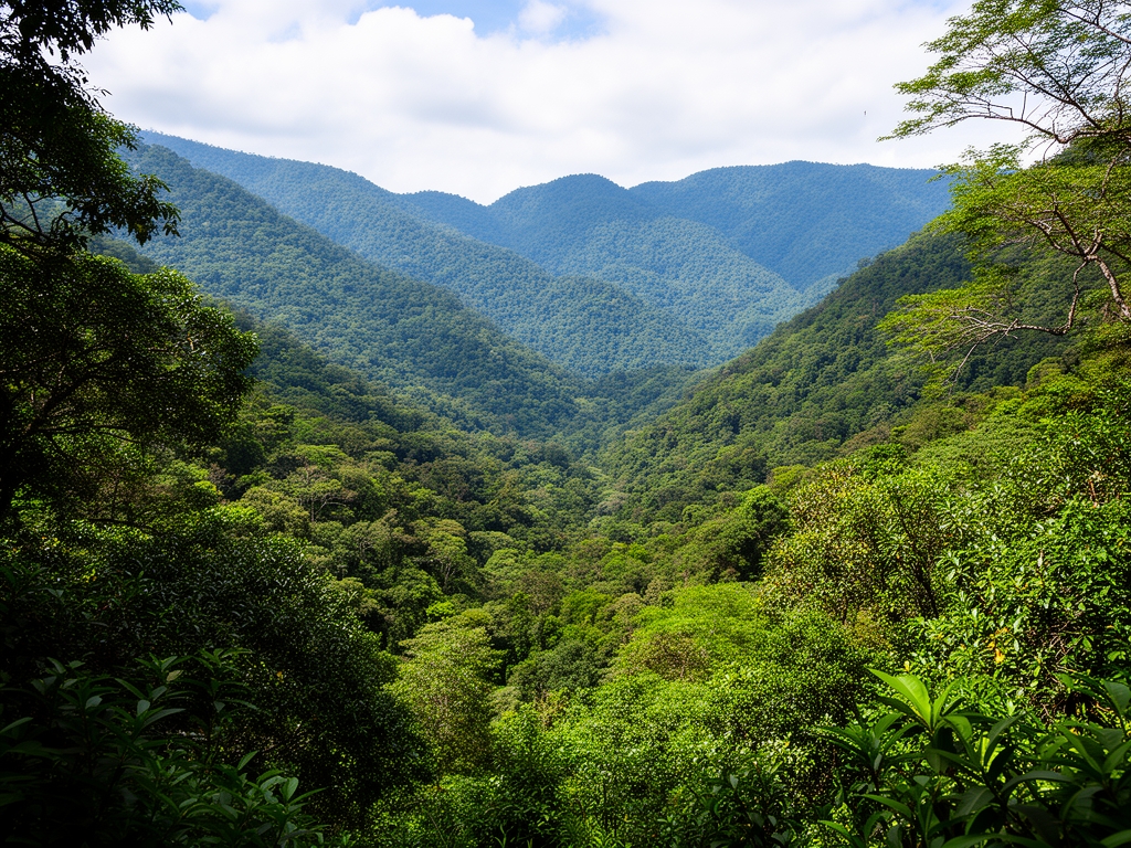Paisaje natural de bosque montañoso mexicano con vegetación densa y aire limpio, simbolizando entornos que favorecen el bienestar